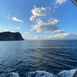 シーランチ 釣果