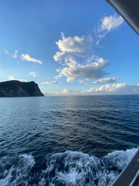 シーランチ 釣果