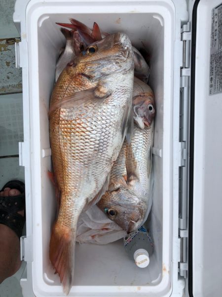 フィッシング キッタカ 釣果