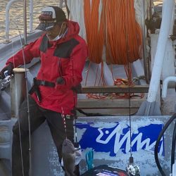 シーランチ 釣果