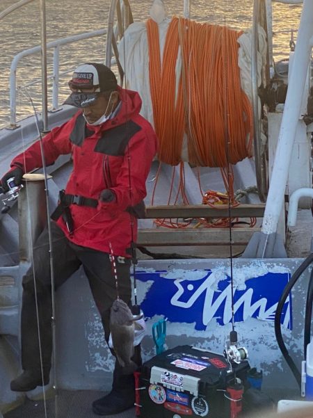 シーランチ 釣果