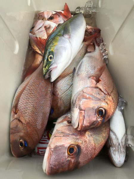 第二八坂丸 釣果