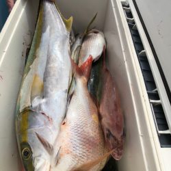 第二八坂丸 釣果