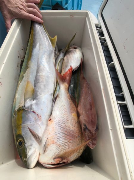 第二八坂丸 釣果