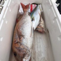 第二八坂丸 釣果