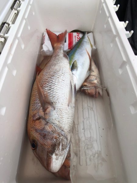 第二八坂丸 釣果