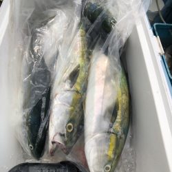 第二八坂丸 釣果