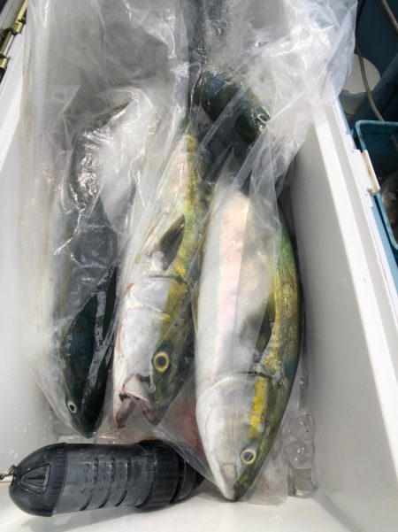 第二八坂丸 釣果