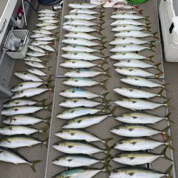 SeaRide(シーライド) 釣果