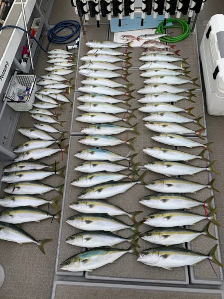 SeaRide(シーライド) 釣果