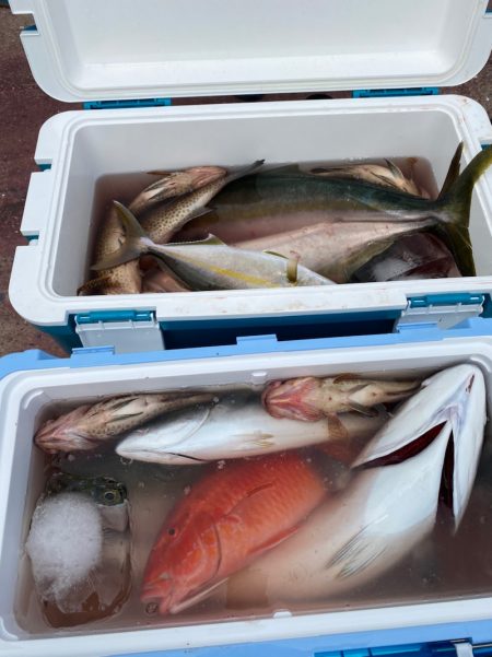 龍神丸(鹿児島) 釣果