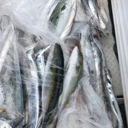 ビッグファイター 釣果