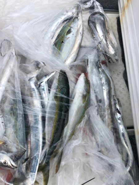 ビッグファイター 釣果