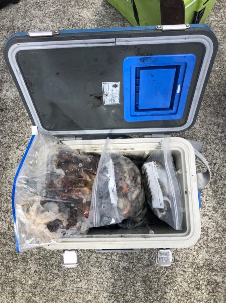 遊漁船高橋 釣果