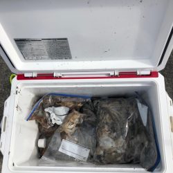 遊漁船高橋 釣果