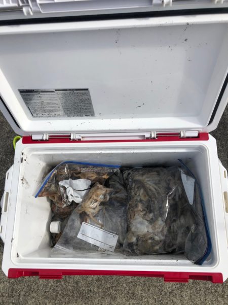 遊漁船高橋 釣果