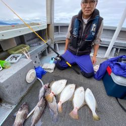 シーランチ 釣果