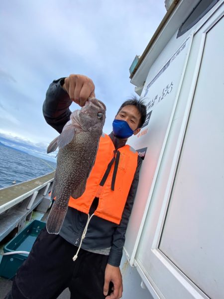 シーランチ 釣果