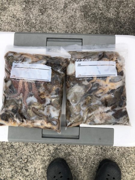 遊漁船高橋 釣果