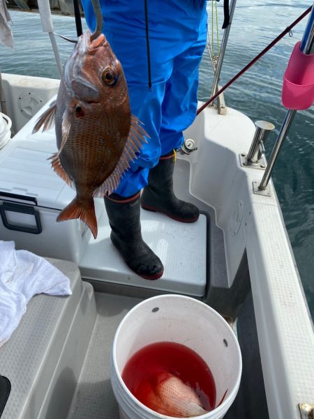 遊漁船ブルーウッズ 釣果