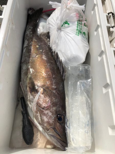 第二八坂丸 釣果