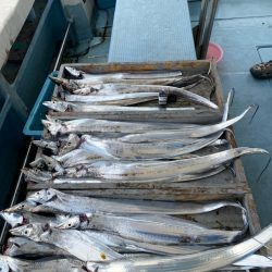 岡田釣船 八英丸 釣果