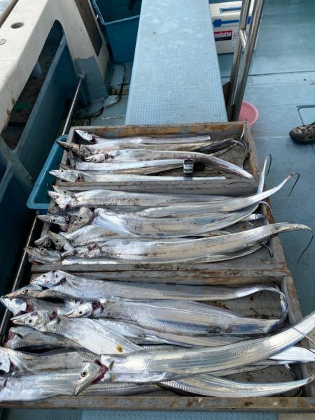 岡田釣船　八英丸 釣果