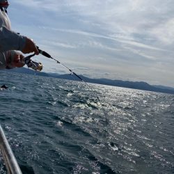 遊漁船ブルーウッズ 釣果