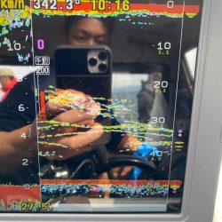 遊漁船ブルーウッズ 釣果