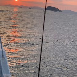 ランスルー 釣果