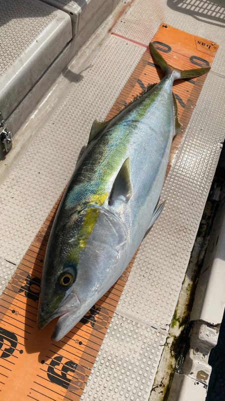 釣人家 釣果