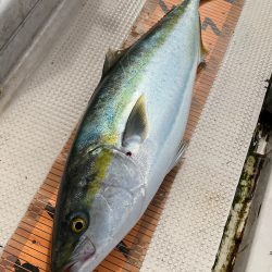 釣人家 釣果
