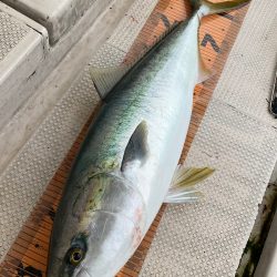 釣人家 釣果