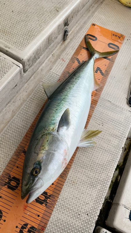 釣人家 釣果