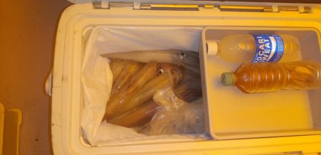 海龍丸（石川） 釣果