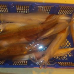 海龍丸（石川） 釣果