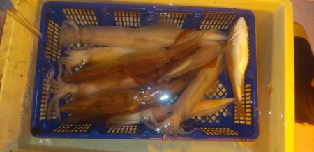 海龍丸（石川） 釣果