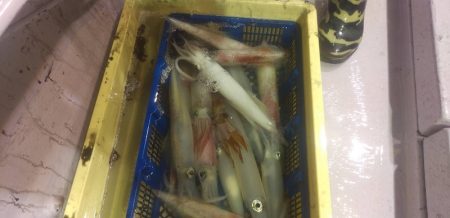 海龍丸（石川） 釣果