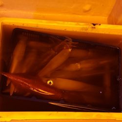 海龍丸（石川） 釣果