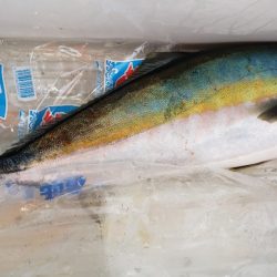 海龍丸(石川) 釣果