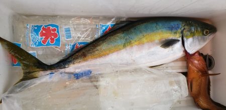 海龍丸(石川) 釣果