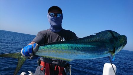 第三共栄丸 釣果