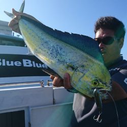 第三共栄丸 釣果