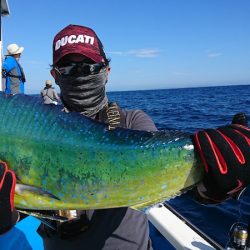 第三共栄丸 釣果