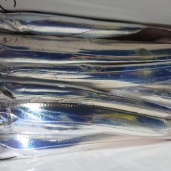 シースナイパー海龍 釣果