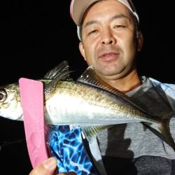 シースナイパー海龍 釣果