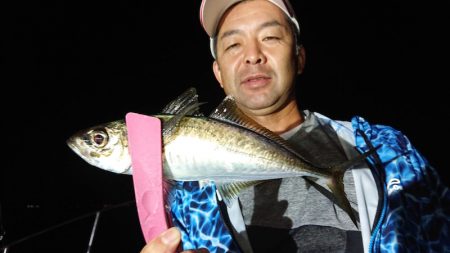 シースナイパー海龍 釣果