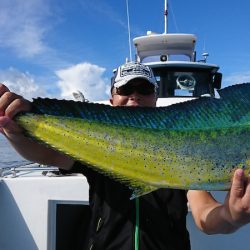 第三共栄丸 釣果