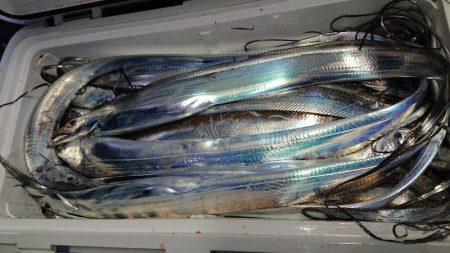 シースナイパー海龍 釣果