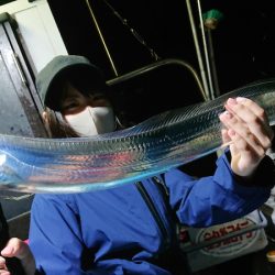 シースナイパー海龍 釣果